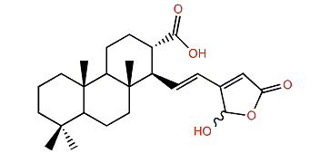 Petrosaspongiolide R